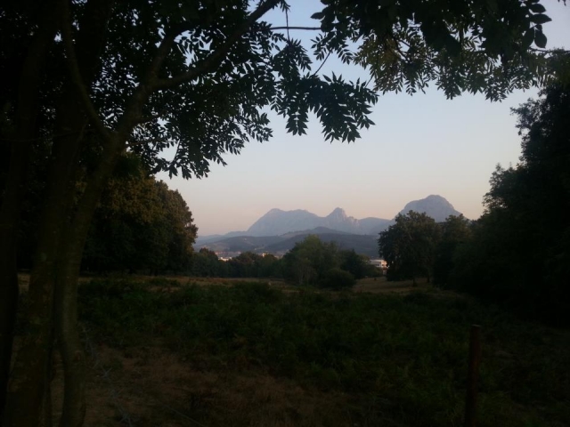  Rural landscape for horseback riding
